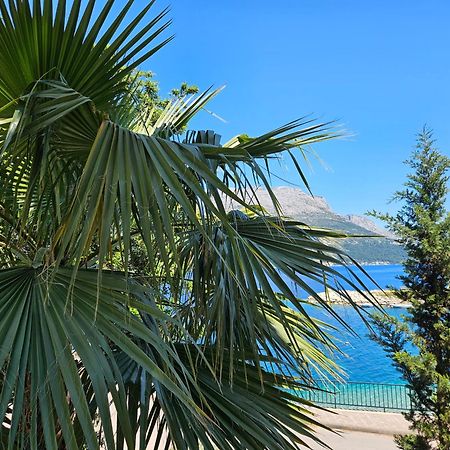 Villa Jade Apartments Front Row Sea View - Walk To Korcula Old Town Medvinjak Eksteriør billede