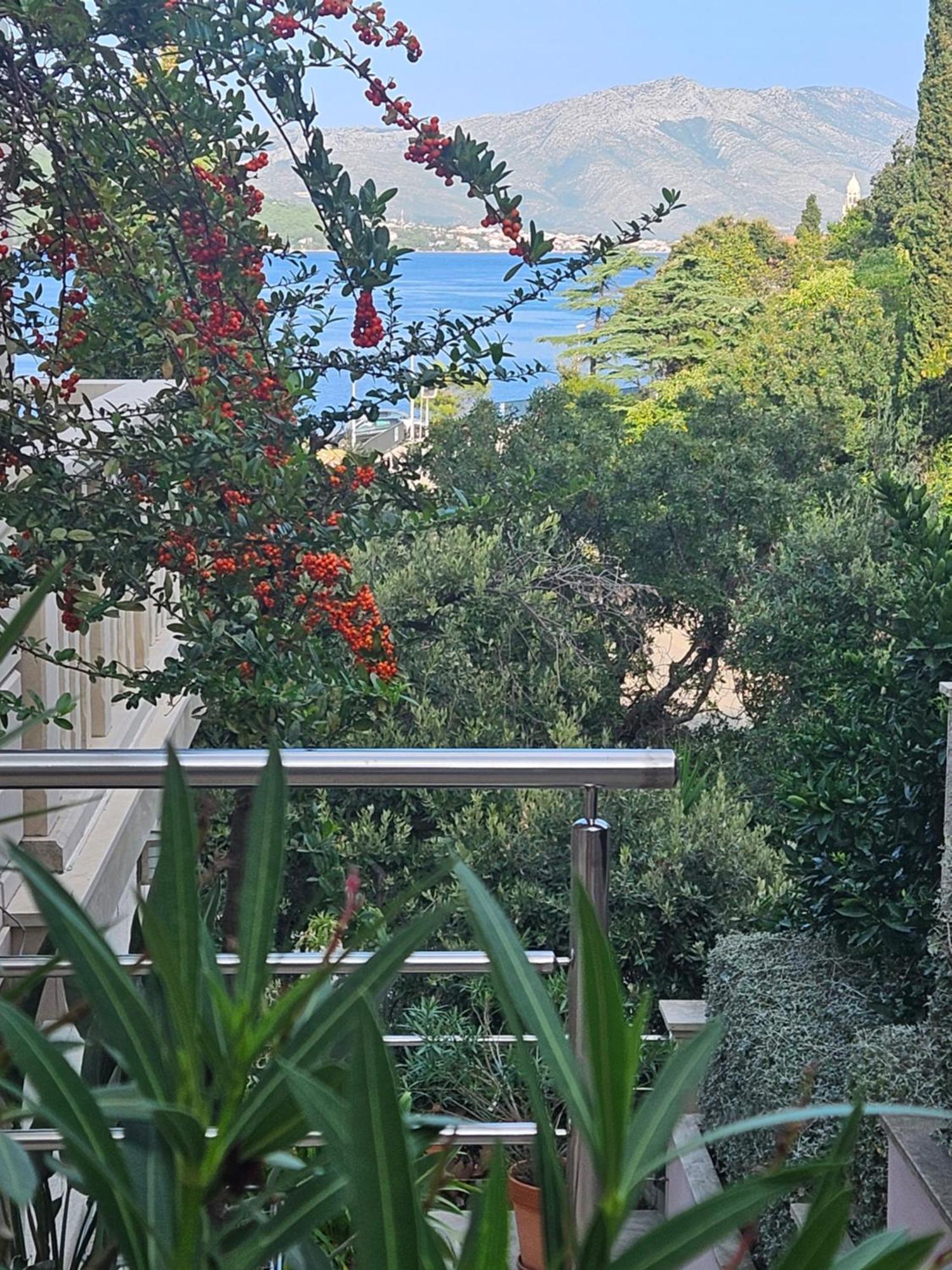 Villa Jade Apartments Front Row Sea View - Walk To Korcula Old Town Medvinjak Eksteriør billede