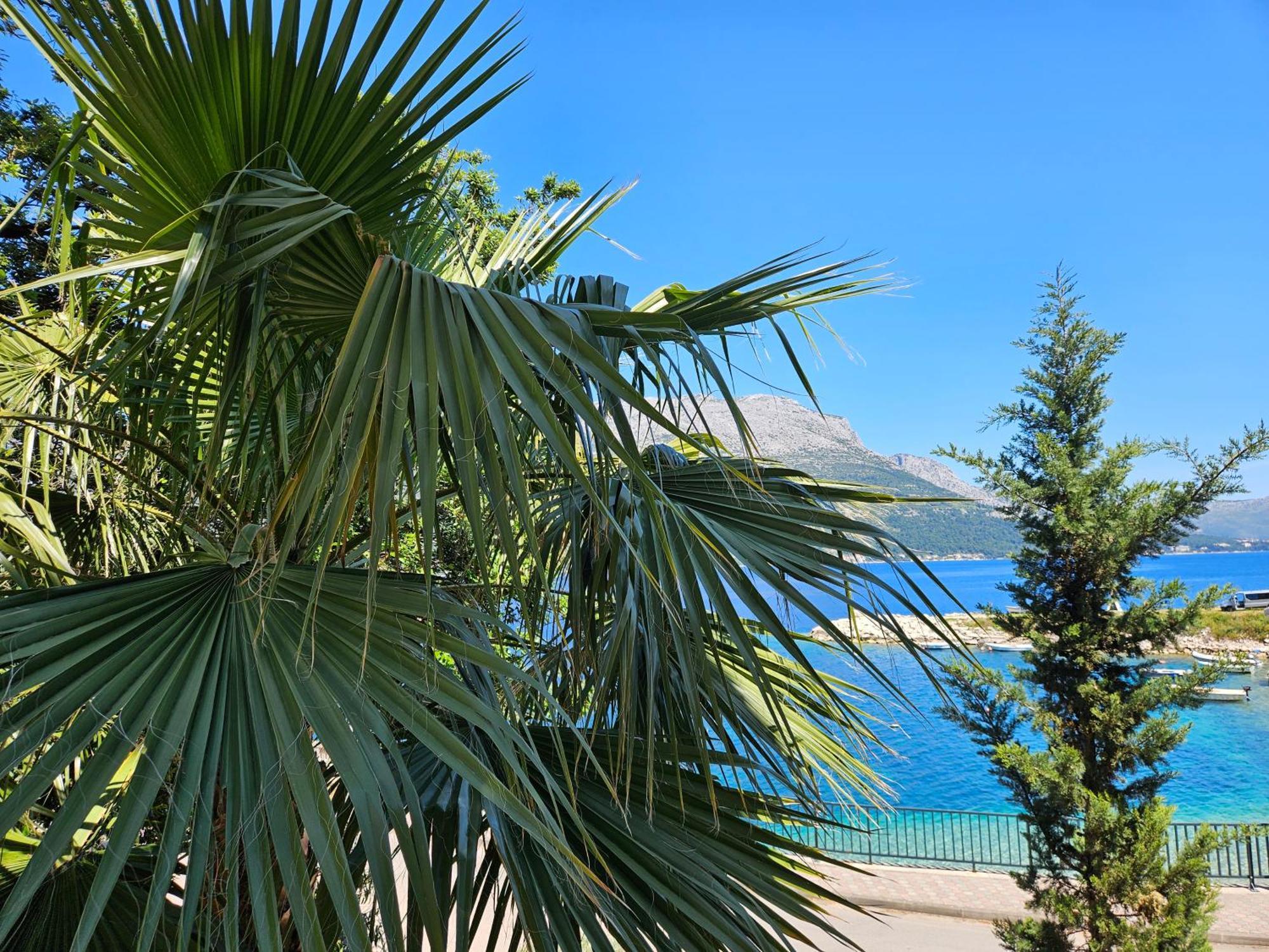 Villa Jade Apartments Front Row Sea View - Walk To Korcula Old Town Medvinjak Eksteriør billede