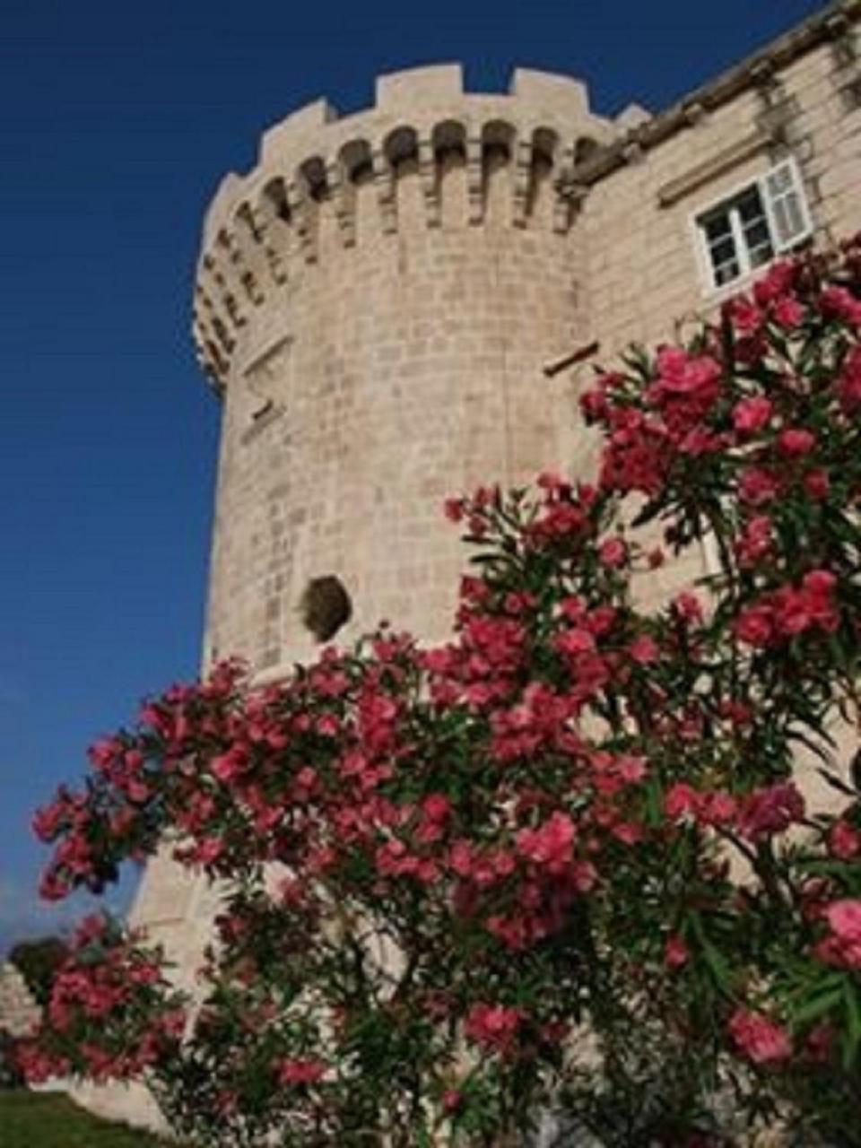 Villa Jade Apartments Front Row Sea View - Walk To Korcula Old Town Medvinjak Eksteriør billede
